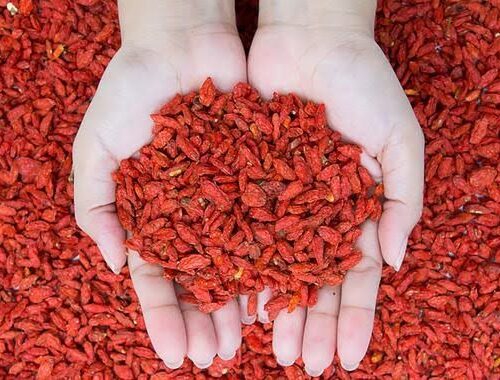 Levadura de arroz roja